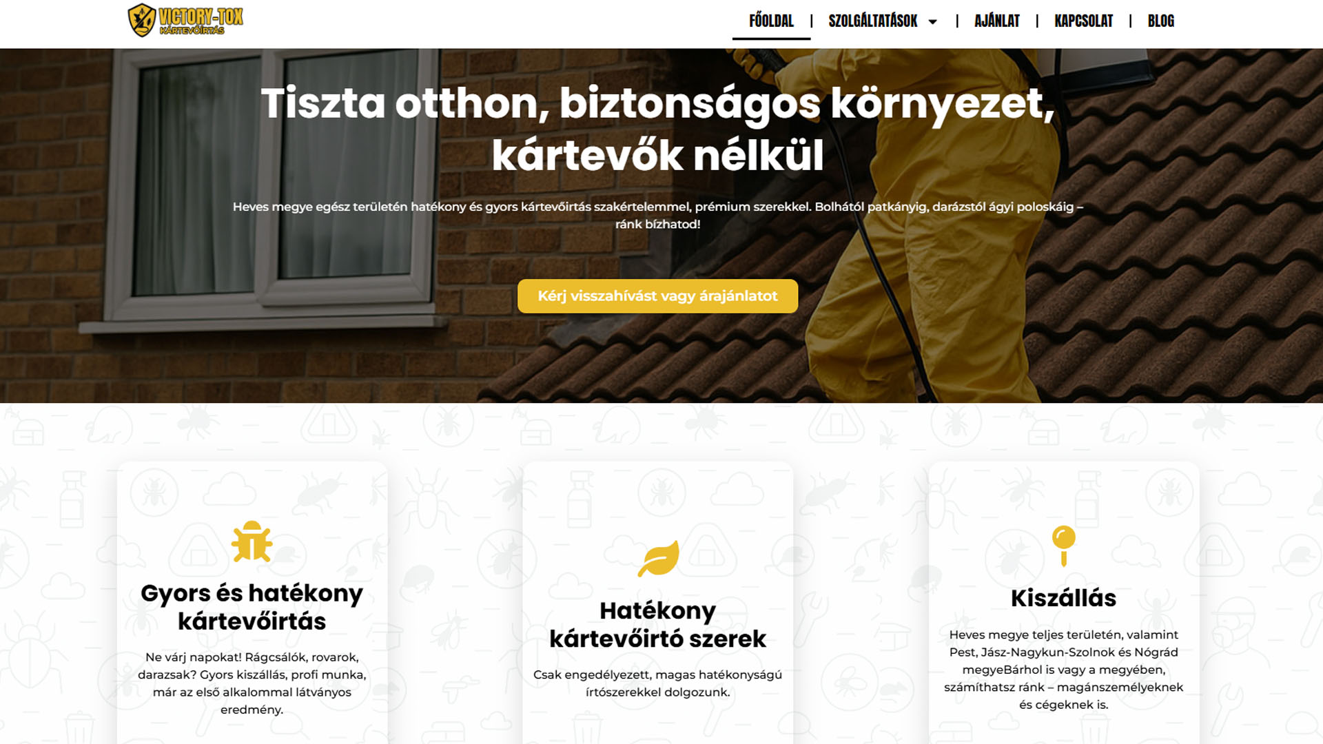 Victorytox – kozmetikai kezelések oldala – AdsFusion